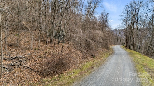 Listing photo 2 for TBD Live Oak Loop Unit 64, Waynesville NC 28785