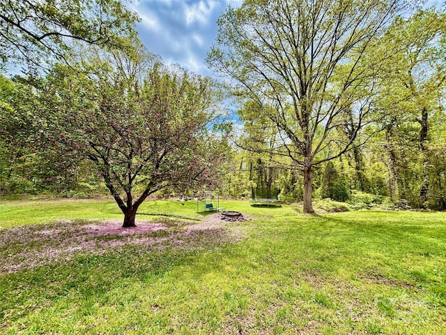 1180 Piney Ridge Rd, Forest City, NC 28043 - photo 4