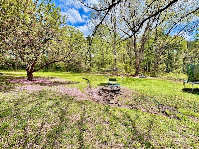 1180 Piney Ridge Rd, Forest City, NC 28043 - photo 5