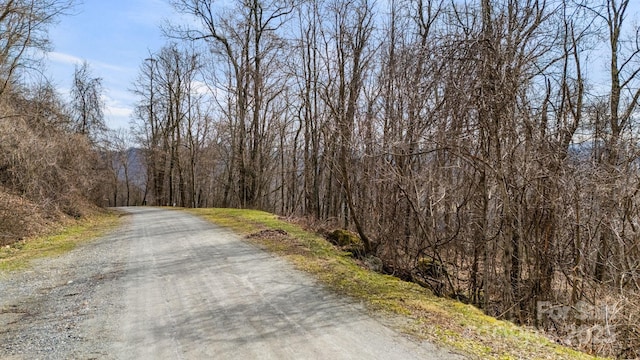 TBD Live Oak Loop Unit 65, Waynesville NC, 28785 land for sale