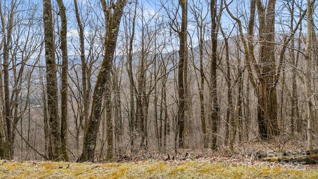 Listing photo 2 for TBD Live Oak Loop Unit 65, Waynesville NC 28785