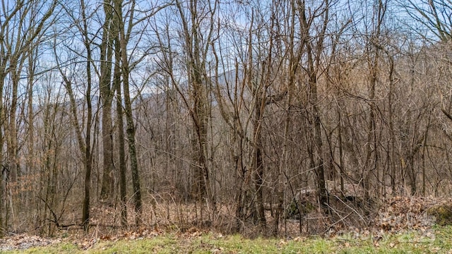 Listing photo 3 for TBD Live Oak Loop Unit 65, Waynesville NC 28785