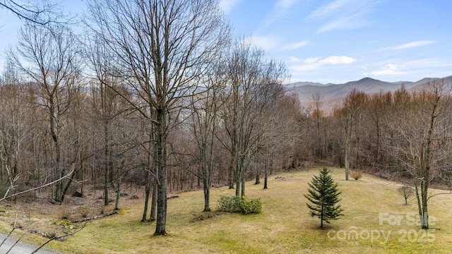 TBD Live Oak Loop Unit 66, Waynesville NC, 28785 land for sale