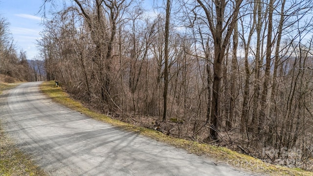 TBD Live Oak Loop Unit 67, Waynesville NC, 28785 land for sale