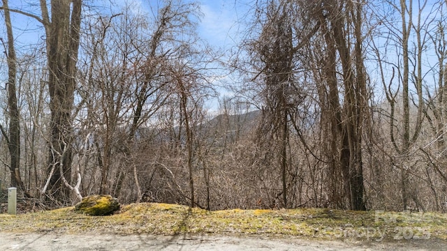 Listing photo 2 for TBD Live Oak Loop Unit 67, Waynesville NC 28785