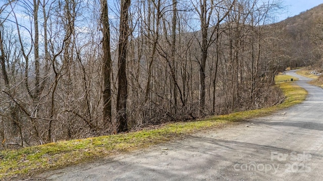 Listing photo 3 for TBD Live Oak Loop Unit 67, Waynesville NC 28785