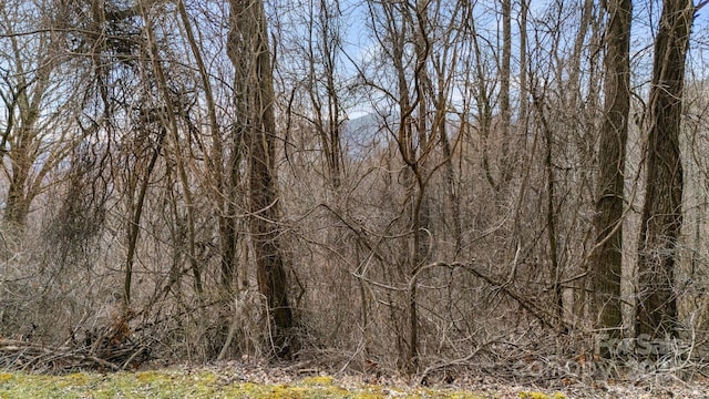 Listing photo 2 for TBD Live Oak Loop Unit 69, Waynesville NC 28785