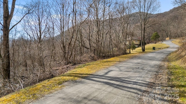 TBD Live Oak Loop Unit 71, Waynesville NC, 28785 land for sale