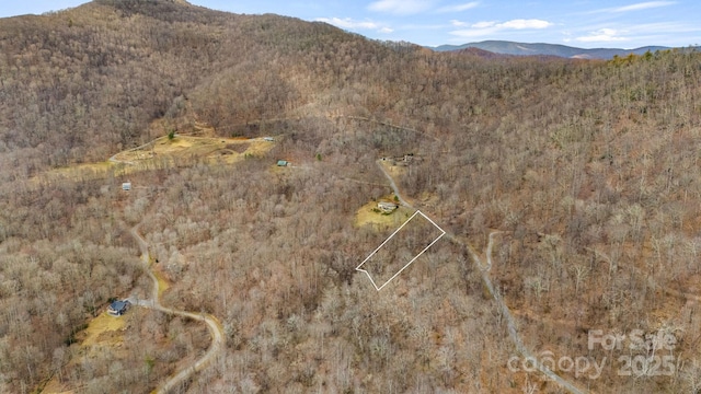 Listing photo 3 for TBD Live Oak Loop Unit 71, Waynesville NC 28785