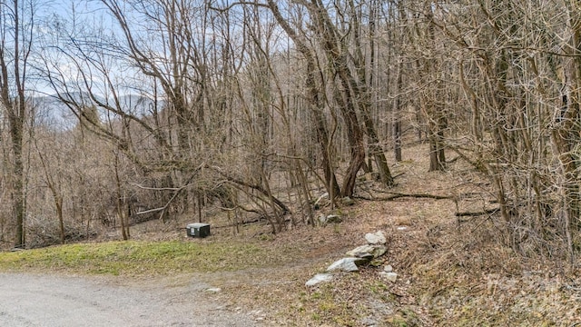 TBD Live Oak Loop Unit 93/95, Waynesville NC, 28785 land for sale