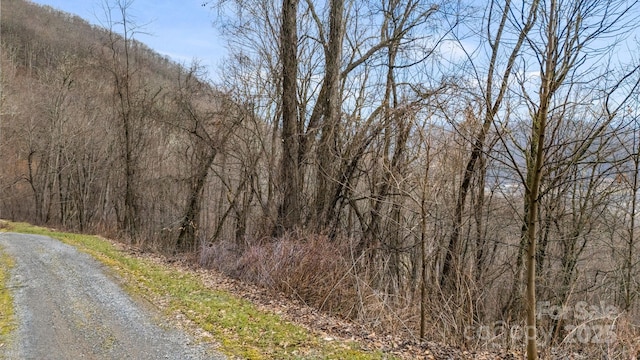 TBD Live Oak Loop Unit 96/98/100, Waynesville NC, 28785 land for sale