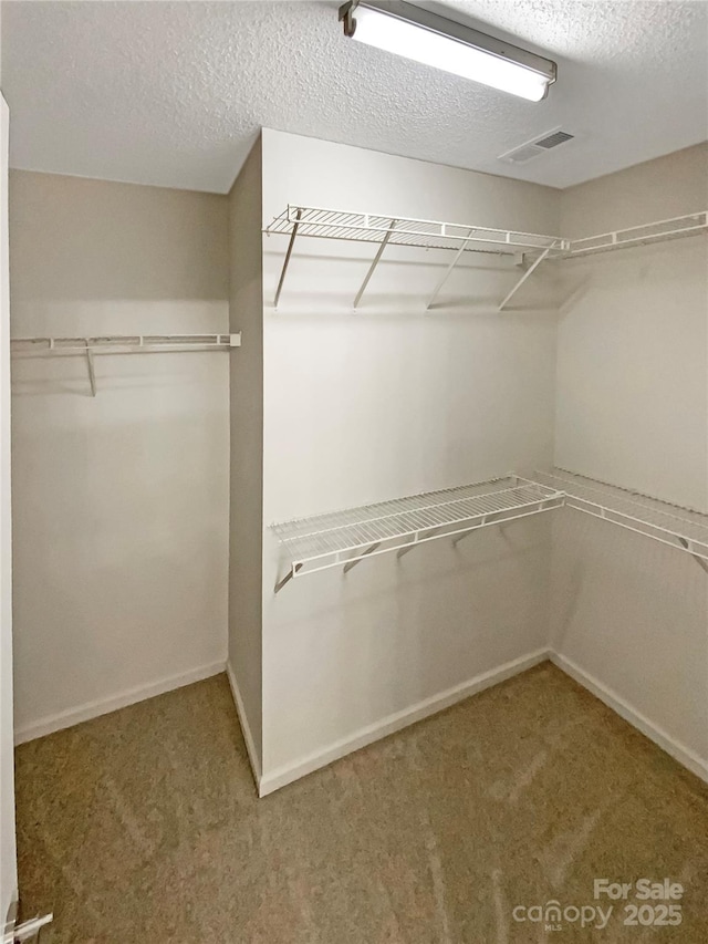 spacious closet featuring carpet and visible vents