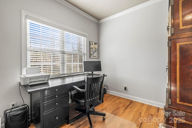 office featuring light wood-type flooring and crown molding