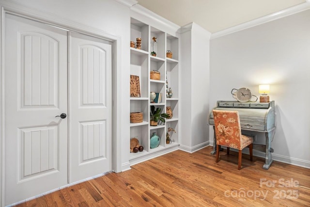 office with hardwood / wood-style floors and ornamental molding