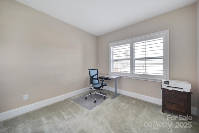 office area featuring baseboards and carpet flooring