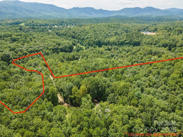 birds eye view of property with a mountain view