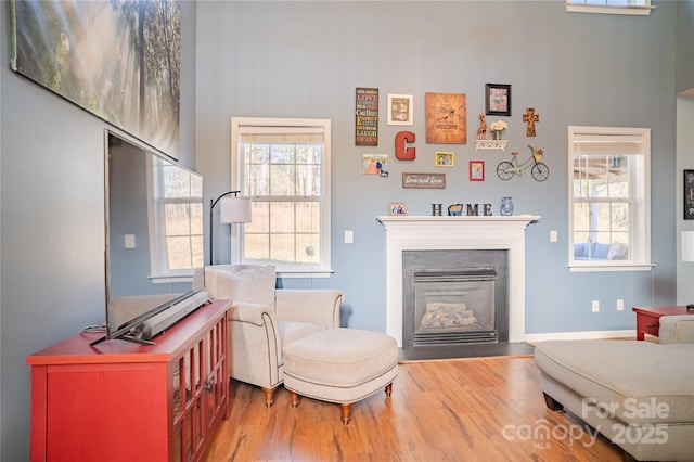 living area with a fireplace with raised hearth and wood finished floors