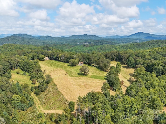 4546 Pine Log Rd, Brasstown NC, 28902 land for sale