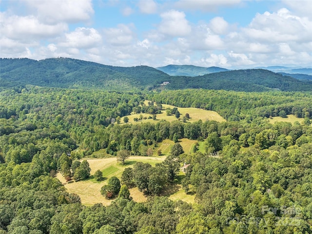 Listing photo 3 for 4546 Pine Log Rd, Brasstown NC 28902