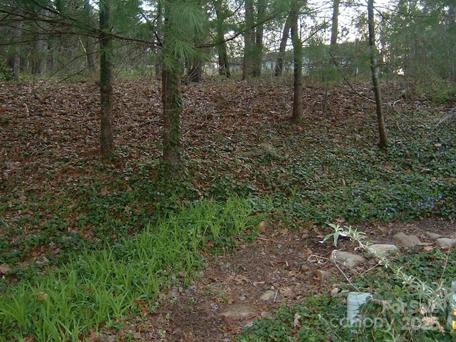1631 High Meadow Ln Unit 34, Hendersonville, NC 28739