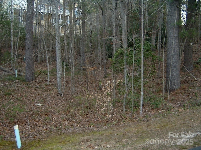 Listing photo 2 for 1631 High Meadow Ln Unit 34, Hendersonville NC 28739