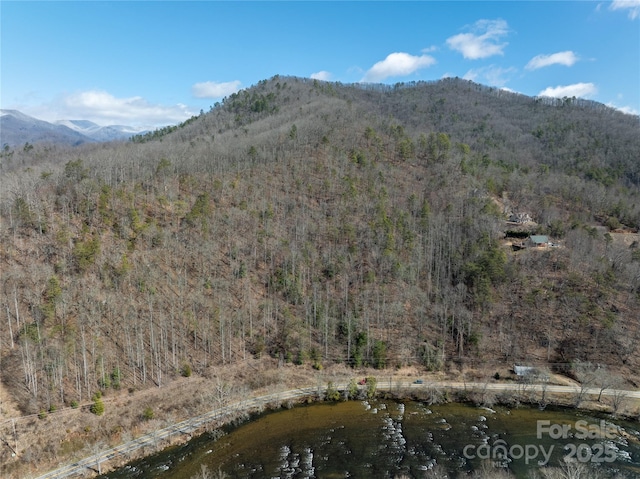 Listing photo 3 for 00 N River Rd, Sylva NC 28779