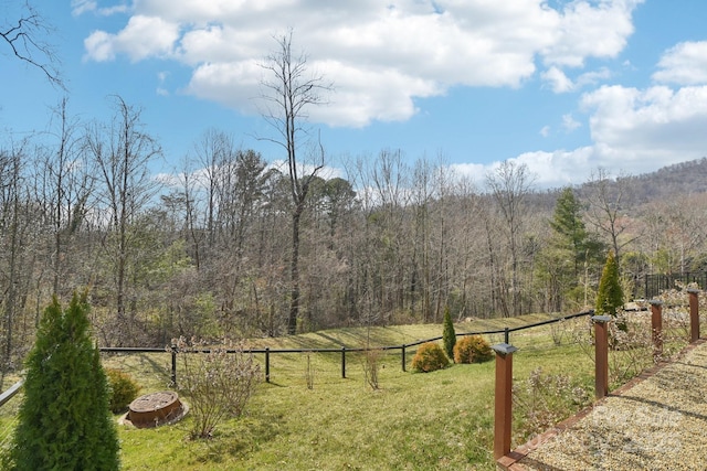22 Thornes Ln, Asheville, NC 28805 - photo 30