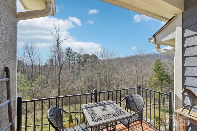 22 Thornes Ln, Asheville, NC 28805 - photo 31