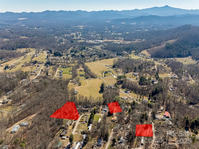 143,158,166,168 Ridgedale Road, Candler NC, 28715 land for sale