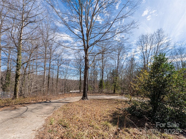 Listing photo 3 for 143,158,166,168 Ridgedale Road, Candler NC 28715