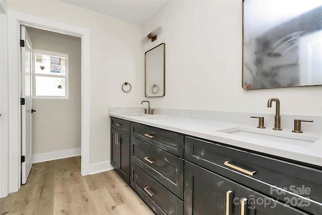 bathroom with hardwood / wood-style flooring and vanity