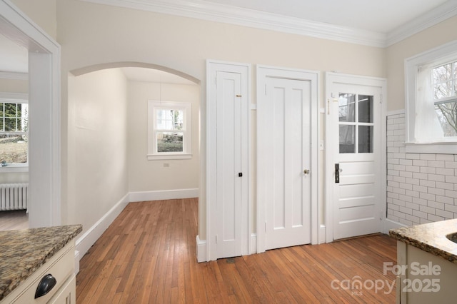 interior space with light wood finished floors, plenty of natural light, and radiator heating unit