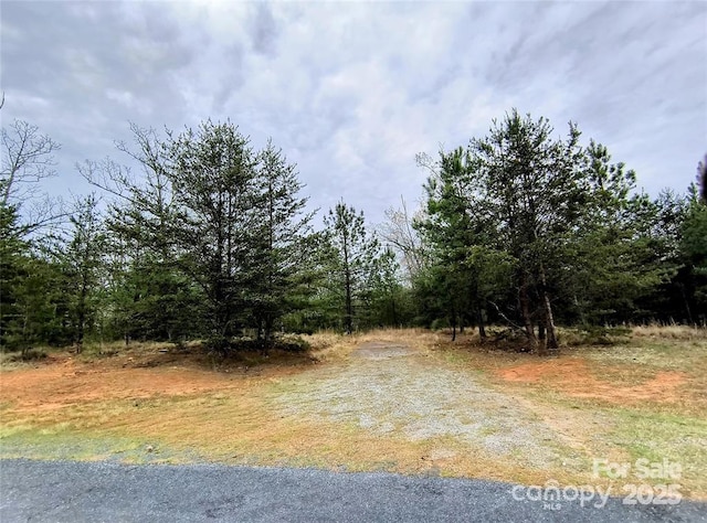 Listing photo 2 for LOT28 Lake Adger Pkwy Unit 28, Mill Spring NC 28756