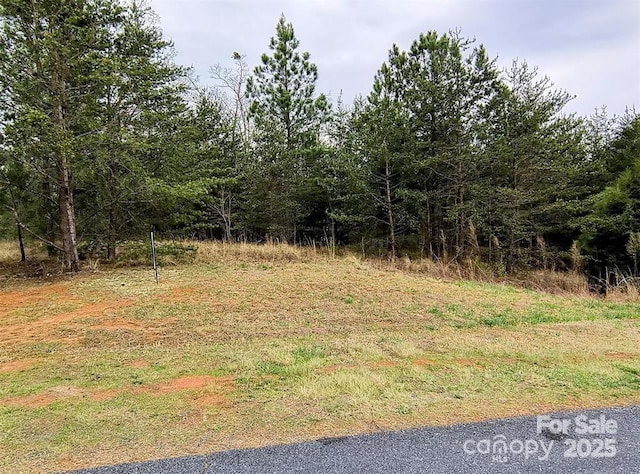 Listing photo 3 for LOT28 Lake Adger Pkwy Unit 28, Mill Spring NC 28756