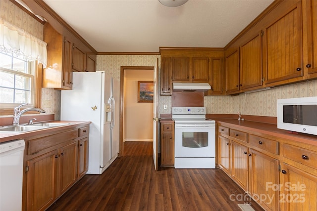 kitchen featuring sink, white appliances, ornamental molding, and dark hardwood / wood-style floors