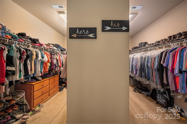 spacious closet with light colored carpet