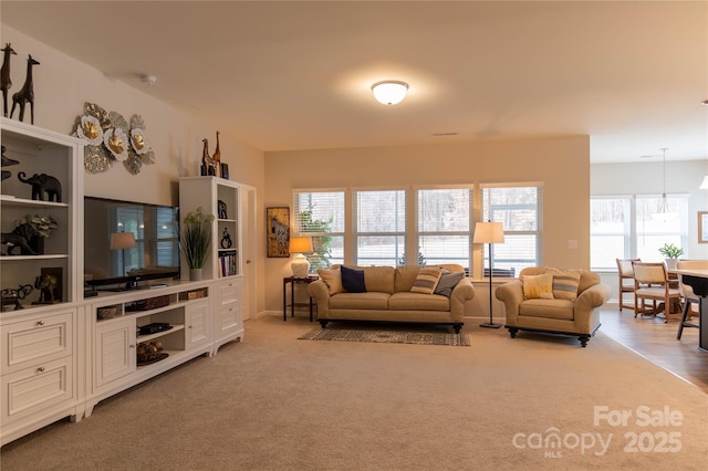 living room with light carpet