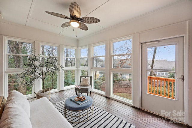 sunroom featuring a wealth of natural light and ceiling fan