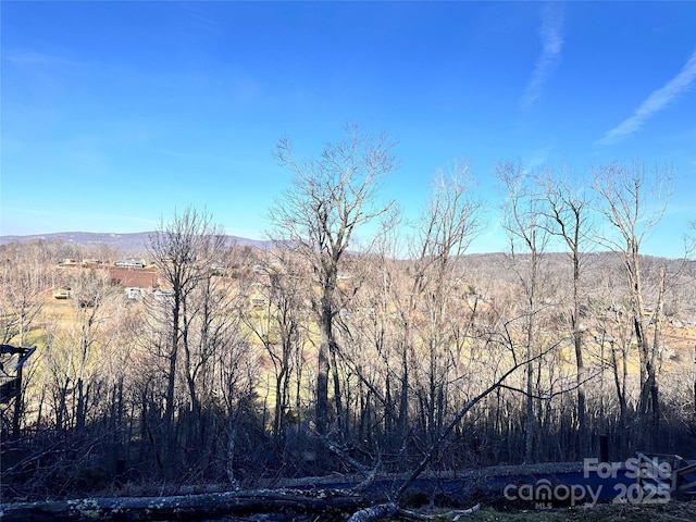 Listing photo 3 for 0000 Balsam Dr Unit 9, Newland NC 28657