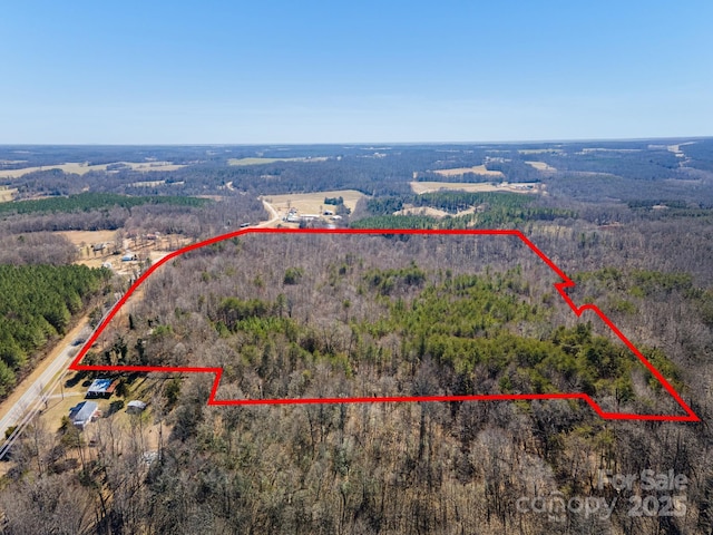 4675 Harmony Hwy, Hamptonville, NC 27020 - photo 26