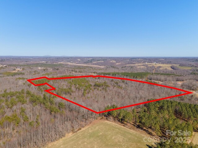 4675 Harmony Hwy, Hamptonville, NC 27020 - photo 27