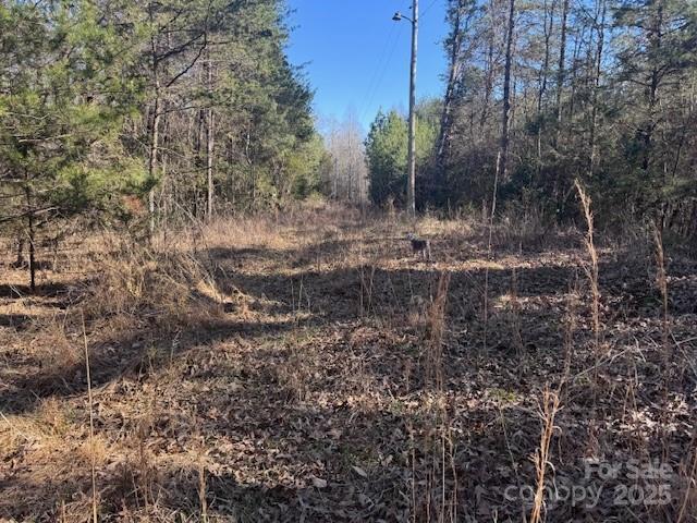 4675 Harmony Hwy, Hamptonville, NC 27020 - photo 37