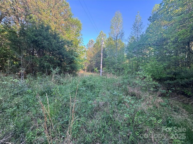 4675 Harmony Hwy, Hamptonville, NC 27020 - photo 18