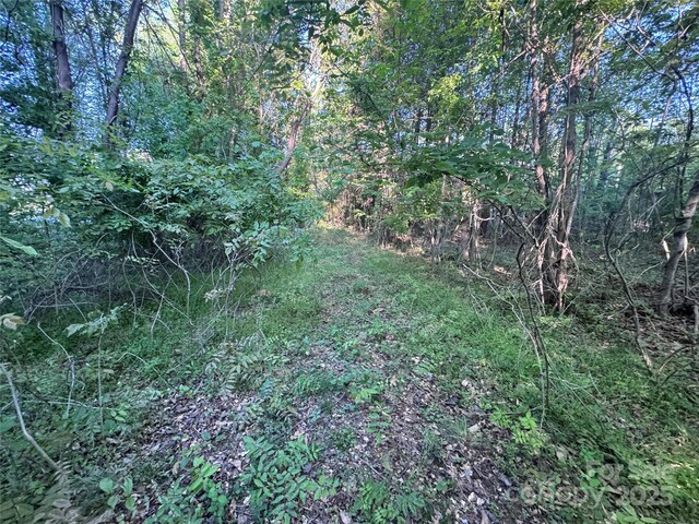 4675 Harmony Hwy, Hamptonville, NC 27020 - photo 19