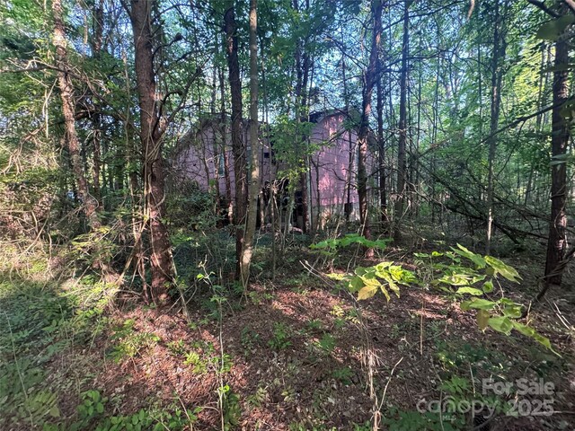 4675 Harmony Hwy, Hamptonville, NC 27020 - photo 21