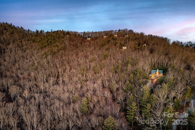 view of nature at dusk