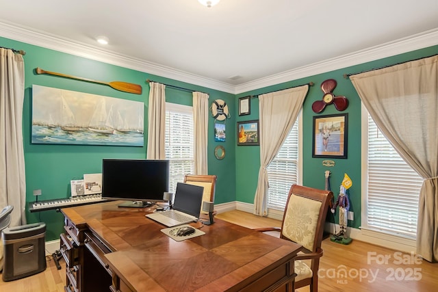 home office featuring crown molding and light hardwood / wood-style flooring