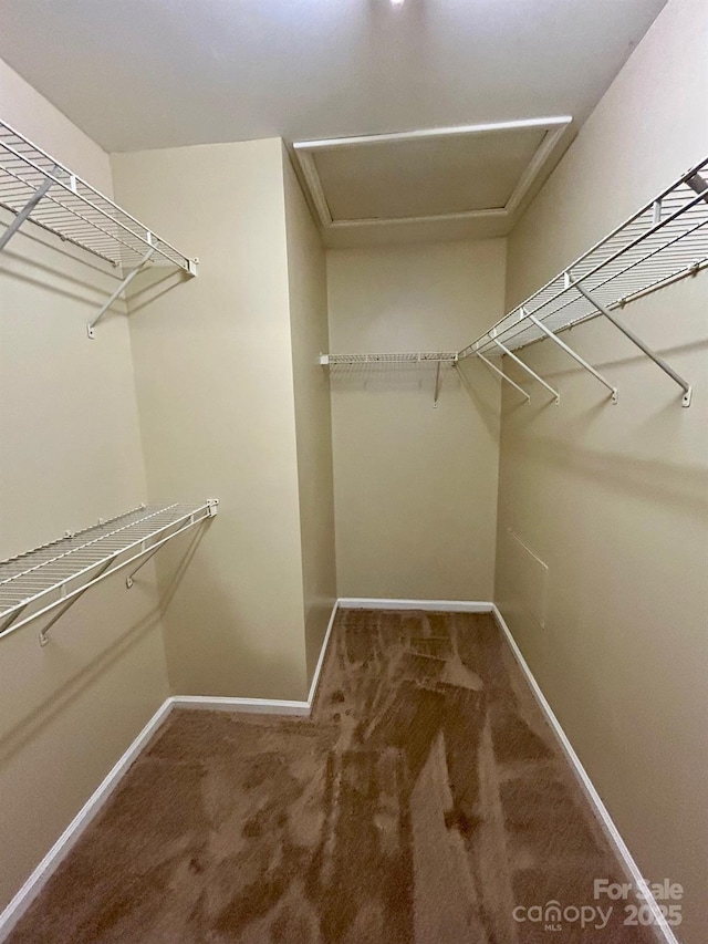 walk in closet with carpet flooring and attic access