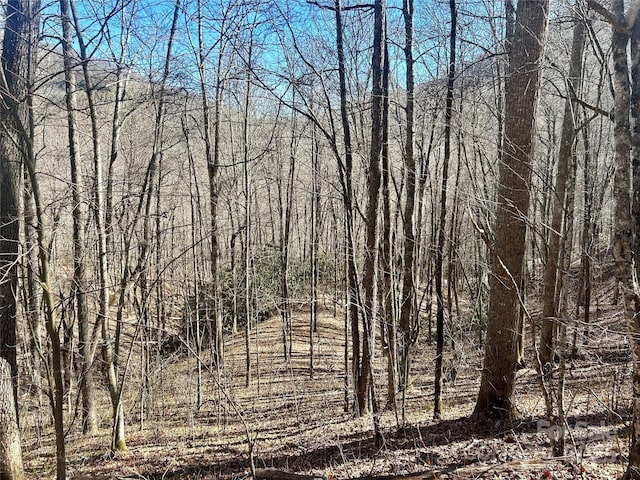 0 Deep Gap View 52&53, Whittier NC, 28789 land for sale