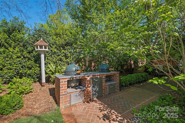 view of patio featuring an outdoor kitchen